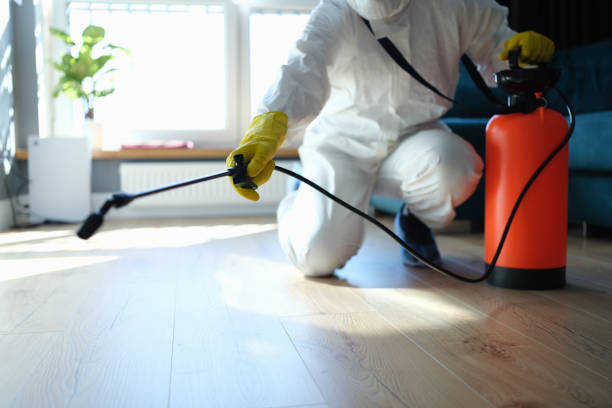 Reliable Odor Removal contractor in Cambria, CA by Dulley Family Biohazard Services